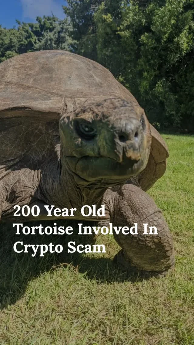 Crypto scammers really faked the death of Jonathan, the world’s oldest living land animal, to ask for donations. He survived 193 years, only to get caught in a 2026 internet scam. Has the internet officially lost the plot?