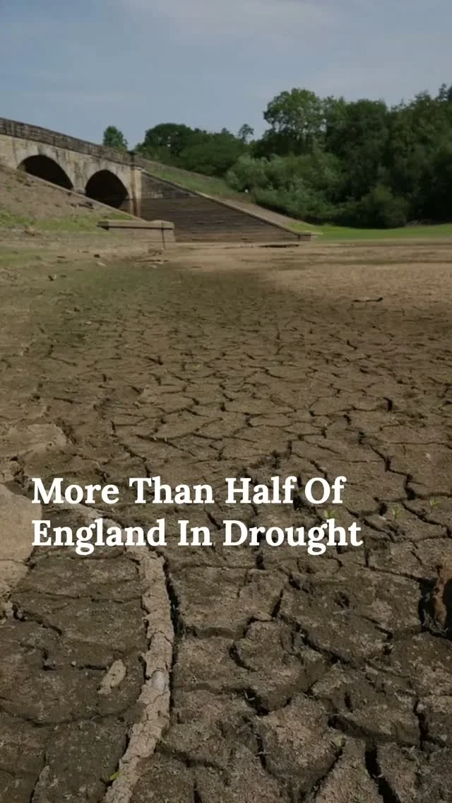 More than half of England is officially in drought. Low rivers, struggling farms, rising wildfire risks, and water restrictions are challenging the idea of Britain as an endlessly wet country.

Are we ready for drought to become part of a normal British summer?